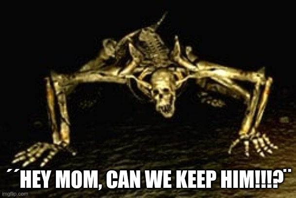´´HEY MOM, CAN WE KEEP HIM!!!?¨ | image tagged in dark souls | made w/ Imgflip meme maker