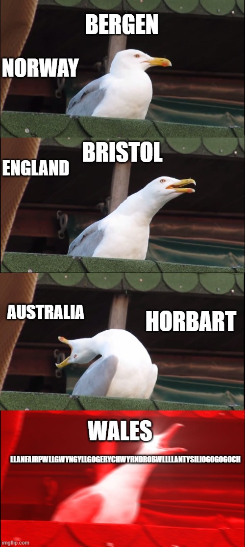 City names in the world | BERGEN; NORWAY; ENGLAND; BRISTOL; AUSTRALIA; HORBART; WALES; LLANFAIRPWLLGWYNGYLLGOGERYCHWYRNDROBWLLLLANTYSILIOGOGOGOCH | image tagged in memes,inhaling seagull | made w/ Imgflip meme maker