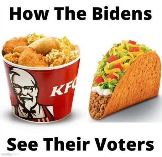 How the Biden's See Their Voters |  HOW THE BIDENS; SEE THEIR VOTERS | image tagged in racist,joe biden,be like jill,racists | made w/ Imgflip meme maker