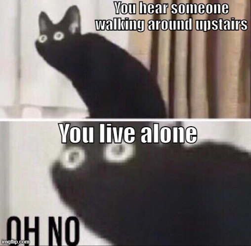 You live alone | You hear someone walking around upstairs; You live alone | image tagged in oh no cat | made w/ Imgflip meme maker