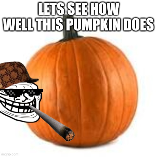 pumpkin | LETS SEE HOW WELL THIS PUMPKIN DOES | image tagged in pumpkin | made w/ Imgflip meme maker