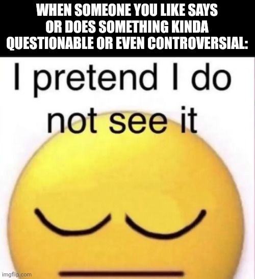 i pretend i do not see it | WHEN SOMEONE YOU LIKE SAYS OR DOES SOMETHING KINDA QUESTIONABLE OR EVEN CONTROVERSIAL: | image tagged in i pretend i do not see it | made w/ Imgflip meme maker