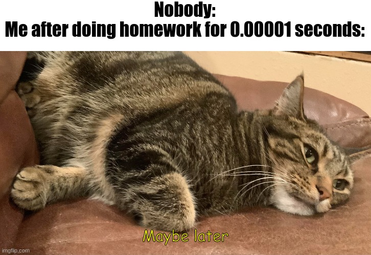 Me after doing homework for 0.00001 seconds | Nobody:
Me after doing homework for 0.00001 seconds:; Maybe later | image tagged in funny cat memes | made w/ Imgflip meme maker