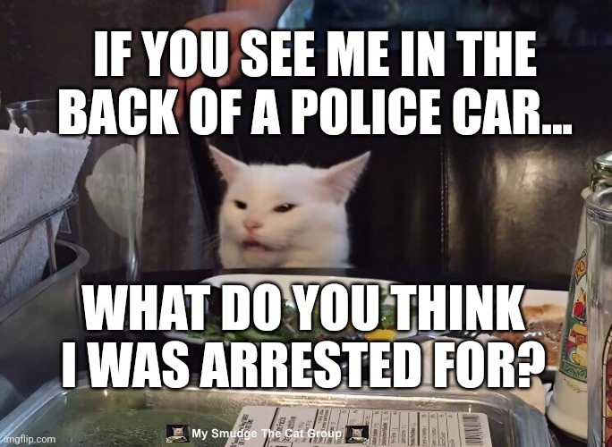 IF YOU SEE ME IN THE BACK OF A POLICE CAR... WHAT DO YOU THINK I WAS ARRESTED FOR? | image tagged in smudge the cat | made w/ Imgflip meme maker