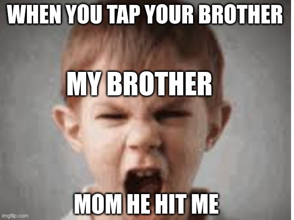 when you tap your brother | WHEN YOU TAP YOUR BROTHER; MY BROTHER; MOM HE HIT ME | image tagged in goofy ahh,brother,mom,memes,funny memes,funny | made w/ Imgflip meme maker