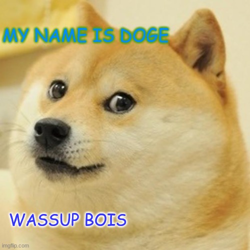 Doge | MY NAME IS DOGE; WASSUP BOIS | image tagged in memes,doge | made w/ Imgflip meme maker