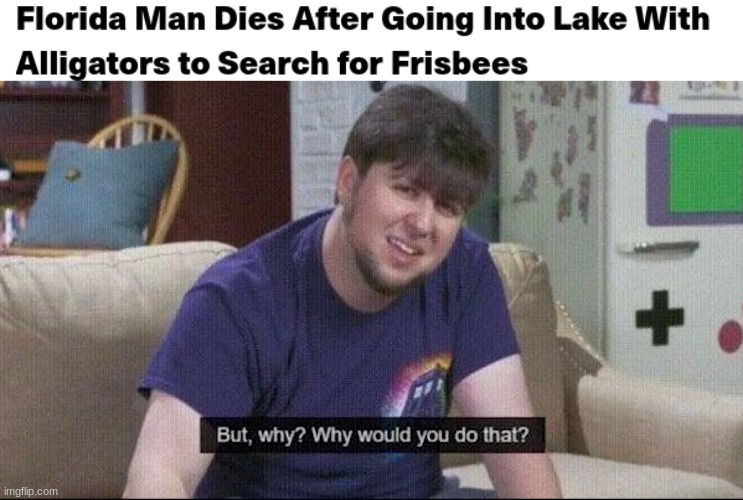 DAMMIT FLORIDA | image tagged in but why why would you do that,funny,florida man,meanwhile in florida,oh wow are you actually reading these tags | made w/ Imgflip meme maker