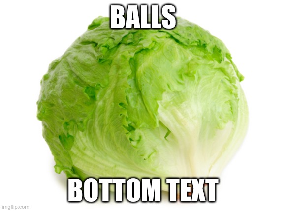 Lettuce  | BALLS; BOTTOM TEXT | image tagged in lettuce | made w/ Imgflip meme maker