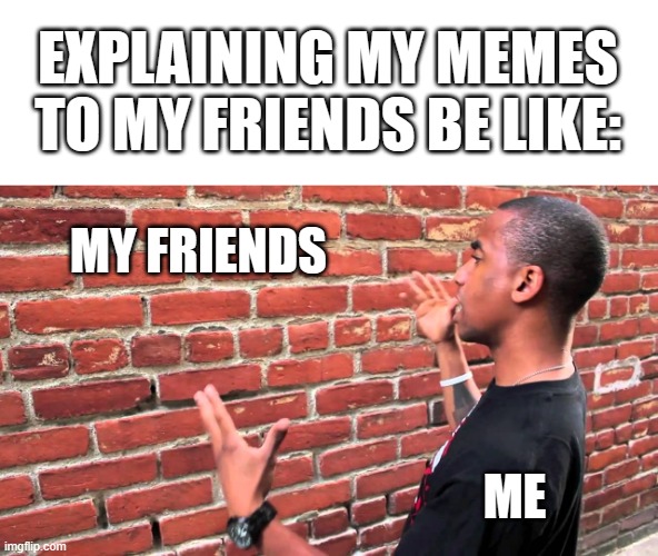 Talking to wall | EXPLAINING MY MEMES TO MY FRIENDS BE LIKE:; MY FRIENDS; ME | image tagged in talking to wall,does not comprehend,friends,sad but true,hillary what difference does it make | made w/ Imgflip meme maker