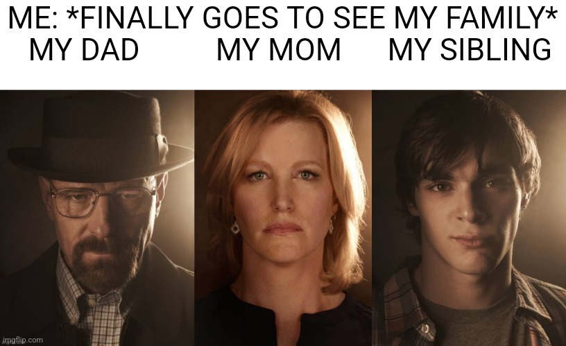 ME: *FINALLY GOES TO SEE MY FAMILY*
  MY DAD          MY MOM      MY SIBLING | made w/ Imgflip meme maker