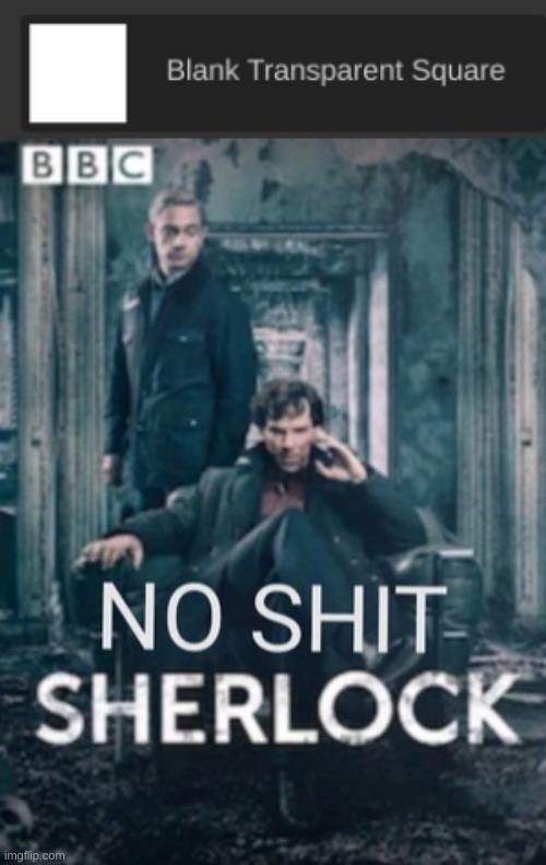 image tagged in no shit sherlock | made w/ Imgflip meme maker