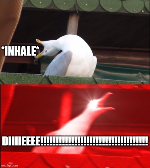 Deep Breath Seagull | *INHALE*; DIIIIEEEE!!!!!!!!!!!!!!!!!!!!!!!!!!!!!!!!!!! | image tagged in deep breath seagull | made w/ Imgflip meme maker