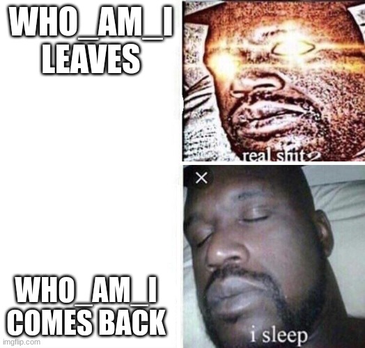 i sleep reverse | WHO_AM_I LEAVES; WHO_AM_I COMES BACK | image tagged in i sleep reverse | made w/ Imgflip meme maker