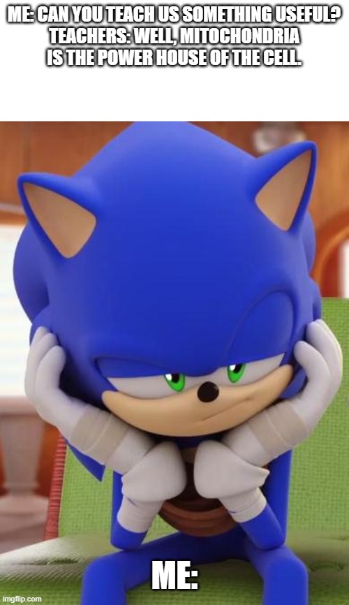 Why do all teacher do this? | ME: CAN YOU TEACH US SOMETHING USEFUL?
TEACHERS: WELL, MITOCHONDRIA IS THE POWER HOUSE OF THE CELL. ME: | image tagged in disappointed sonic | made w/ Imgflip meme maker