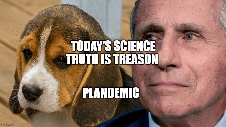 Fauci's Ouchie | TODAY'S SCIENCE TRUTH IS TREASON; PLANDEMIC | image tagged in fauci's ouchie | made w/ Imgflip meme maker