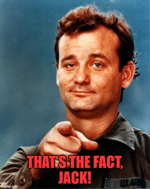 Bill Murray  | THAT'S THE FACT,
JACK! | image tagged in bill murray | made w/ Imgflip meme maker