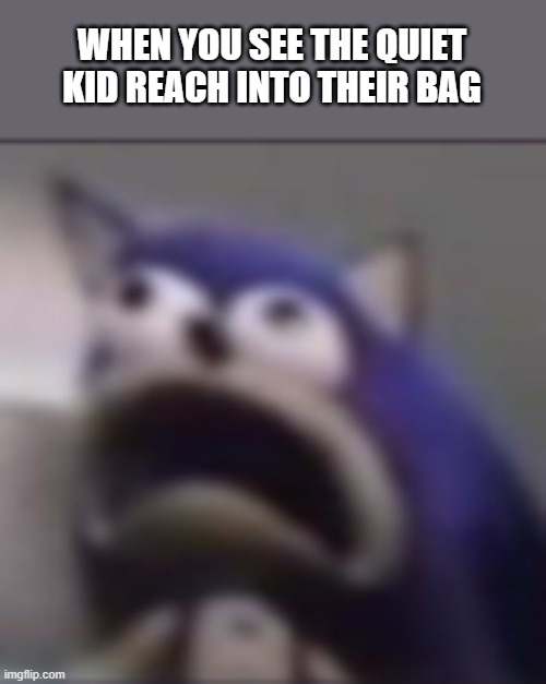 RUN | WHEN YOU SEE THE QUIET KID REACH INTO THEIR BAG | image tagged in distress,sonic the hedgehog | made w/ Imgflip meme maker