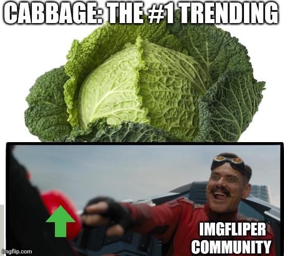 It's is so funny it is actually true | CABBAGE: THE #1 TRENDING; IMGFLIPER COMMUNITY | image tagged in cabbage | made w/ Imgflip meme maker