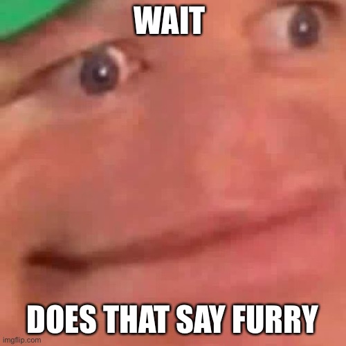 Wait Hol Up | WAIT DOES THAT SAY FURRY | image tagged in wait hol up | made w/ Imgflip meme maker
