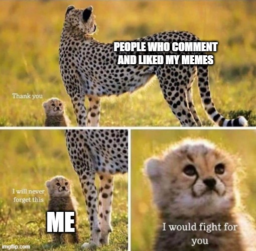 Thanks Guys :) | PEOPLE WHO COMMENT AND LIKED MY MEMES; ME | image tagged in i would fight for you | made w/ Imgflip meme maker