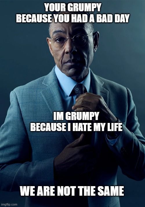 Not The Same Kind of Grumpy | YOUR GRUMPY BECAUSE YOU HAD A BAD DAY; IM GRUMPY BECAUSE I HATE MY LIFE; WE ARE NOT THE SAME | image tagged in we are not the same,memes,dank memes | made w/ Imgflip meme maker