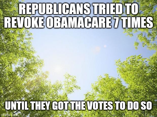 Your Government Does Not Care About You | REPUBLICANS TRIED TO REVOKE OBAMACARE 7 TIMES; UNTIL THEY GOT THE VOTES TO DO SO | image tagged in sunshine trees,prove me wrong | made w/ Imgflip meme maker