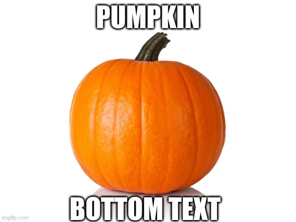 Might As Well Follow Along With The Trends |  PUMPKIN; BOTTOM TEXT | image tagged in pumpkin,fruit,blank white template,memes,trends,bottom text | made w/ Imgflip meme maker