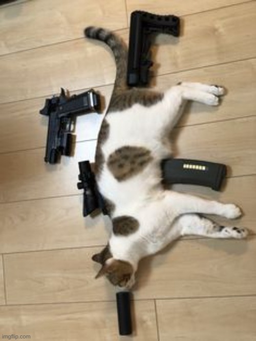 gun | made w/ Imgflip meme maker