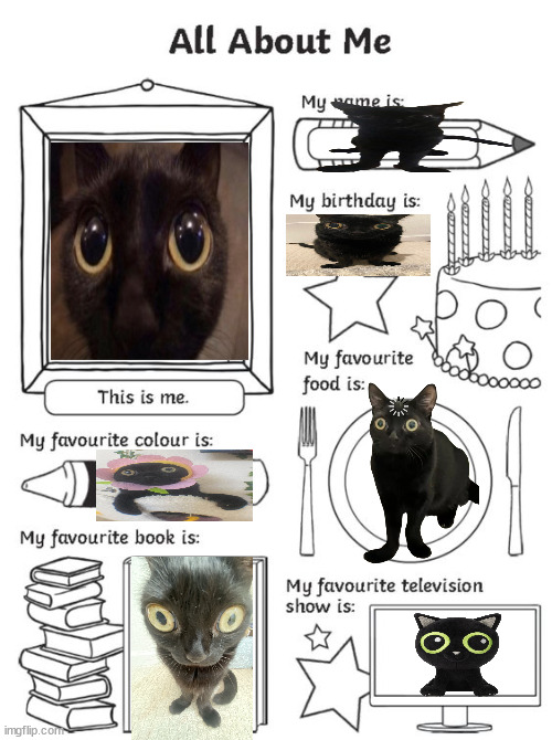 all about me | image tagged in all about me | made w/ Imgflip meme maker