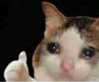 High Quality crying cat/thumbs up Blank Meme Template