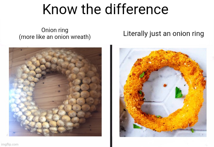 Onion Ring being the sidekick to the onion wreath | Know the difference; Onion ring
(more like an onion wreath); Literally just an onion ring | image tagged in know the difference psychic and side kick,onion rings,onion ring,wreath,onion,memes | made w/ Imgflip meme maker