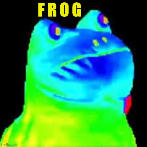 F R O G | F R O G | image tagged in frog | made w/ Imgflip meme maker