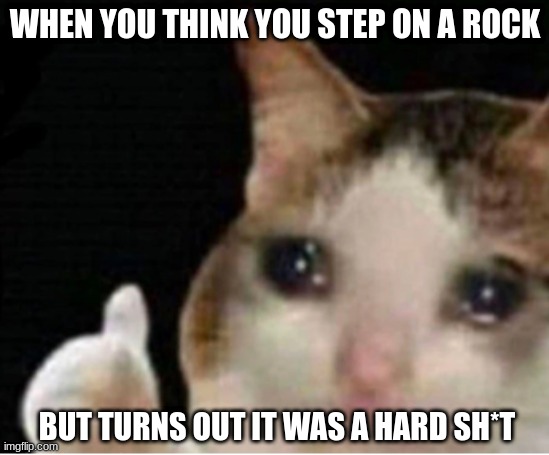 that's tough | WHEN YOU THINK YOU STEP ON A ROCK; BUT TURNS OUT IT WAS A HARD SH*T | image tagged in crying cat/thumbs up | made w/ Imgflip meme maker