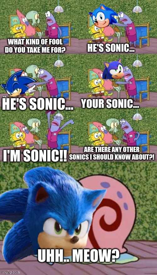 a clever title | WHAT KIND OF FOOL DO YOU TAKE ME FOR? HE'S SONIC... HE'S SONIC... YOUR SONIC... I'M SONIC!! ARE THERE ANY OTHER SONICS I SHOULD KNOW ABOUT?! UHH.. MEOW? | image tagged in he's squidward your squidward i'm squidward meme,sonic | made w/ Imgflip meme maker