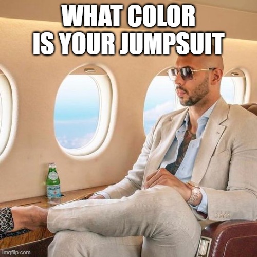 orang | WHAT COLOR IS YOUR JUMPSUIT | image tagged in mafioso | made w/ Imgflip meme maker