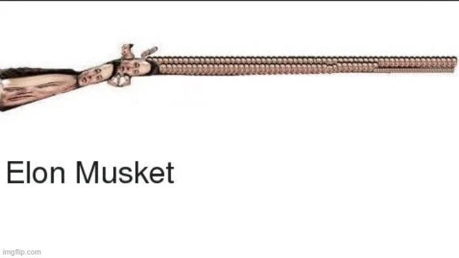 Elon Musket | image tagged in funny memes,memes | made w/ Imgflip meme maker