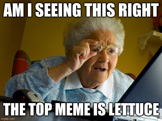 Grandma Finds The Internet Meme | AM I SEEING THIS RIGHT; THE TOP MEME IS LETTUCE | image tagged in memes,grandma finds the internet | made w/ Imgflip meme maker