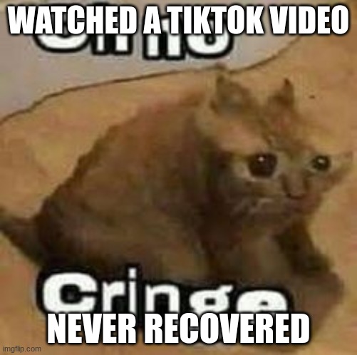 is there a cure? | WATCHED A TIKTOK VIDEO; NEVER RECOVERED | image tagged in oh no cringe | made w/ Imgflip meme maker