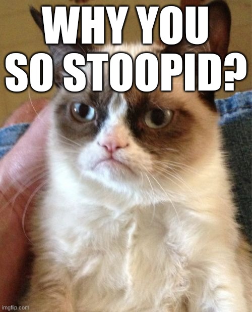 Grumpy Cat Meme | WHY YOU SO STOOPID? | image tagged in memes,grumpy cat | made w/ Imgflip meme maker