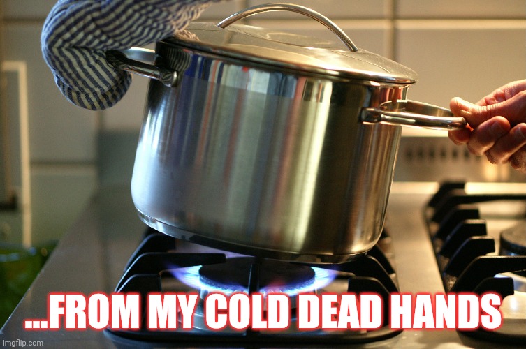 Gas stove ban, seriously??? | ...FROM MY COLD DEAD HANDS | image tagged in crazy aoc,democrats,socialism,communism | made w/ Imgflip meme maker