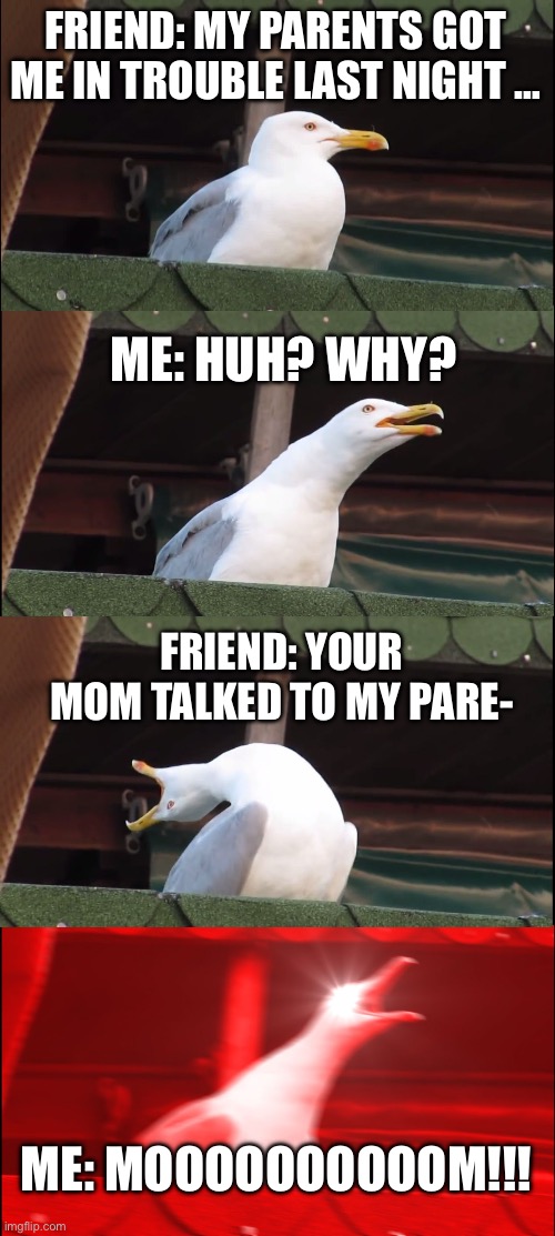 Inhaling Seagull | FRIEND: MY PARENTS GOT ME IN TROUBLE LAST NIGHT …; ME: HUH? WHY? FRIEND: YOUR MOM TALKED TO MY PARE-; ME: MOOOOOOOOOOM!!! | image tagged in memes,inhaling seagull | made w/ Imgflip meme maker