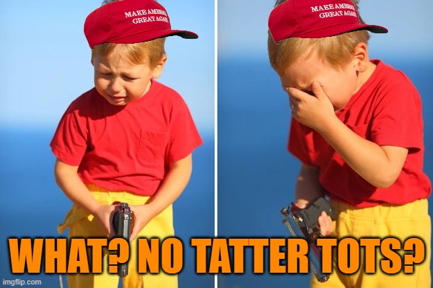 crying child with gun | WHAT? NO TATTER TOTS? | image tagged in crying child with gun | made w/ Imgflip meme maker