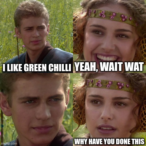 Anakin Padme 4 Panel | I LIKE GREEN CHILLI; YEAH, WAIT WAT; WHY HAVE YOU DONE THIS | image tagged in anakin padme 4 panel | made w/ Imgflip meme maker