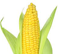 High Quality CornHub.com Blank Meme Template