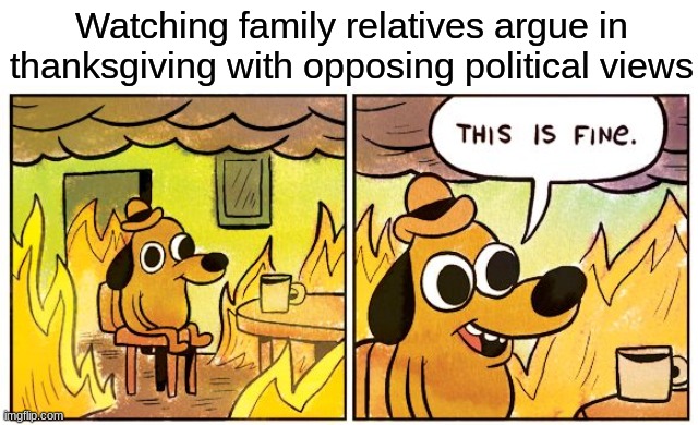This does not happen to me but its a stereotype so I made a meme about it. | Watching family relatives argue in thanksgiving with opposing political views | image tagged in memes,this is fine | made w/ Imgflip meme maker
