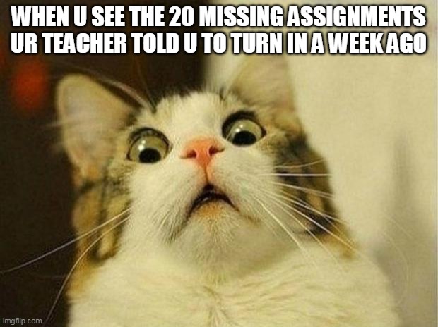 Scared Cat Meme | WHEN U SEE THE 20 MISSING ASSIGNMENTS UR TEACHER TOLD U TO TURN IN A WEEK AGO | image tagged in memes,scared cat | made w/ Imgflip meme maker