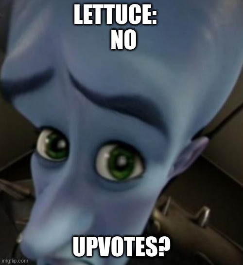 Megamind no bitches | LETTUCE:           NO; UPVOTES? | image tagged in megamind no bitches | made w/ Imgflip meme maker