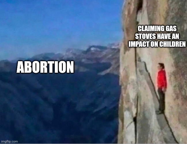 Cliff | CLAIMING GAS STOVES HAVE AN IMPACT ON CHILDREN; ABORTION | image tagged in cliff,funny memes | made w/ Imgflip meme maker