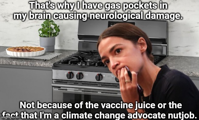 That's why I have gas pockets in my brain causing neurological damage. Not because of the vaccine juice or the fact that I'm a climate chang | made w/ Imgflip meme maker