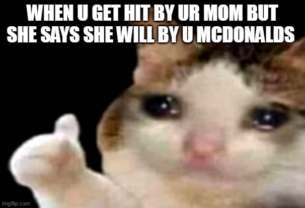 Sad cat thumbs up | WHEN U GET HIT BY UR MOM BUT SHE SAYS SHE WILL BY U MCDONALDS | image tagged in sad cat thumbs up | made w/ Imgflip meme maker